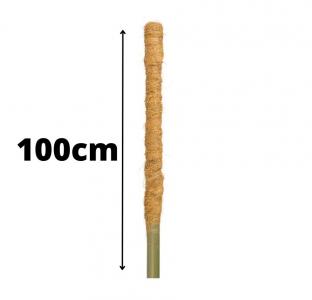 Palik kokosowy 100cm/śr.32mm/          